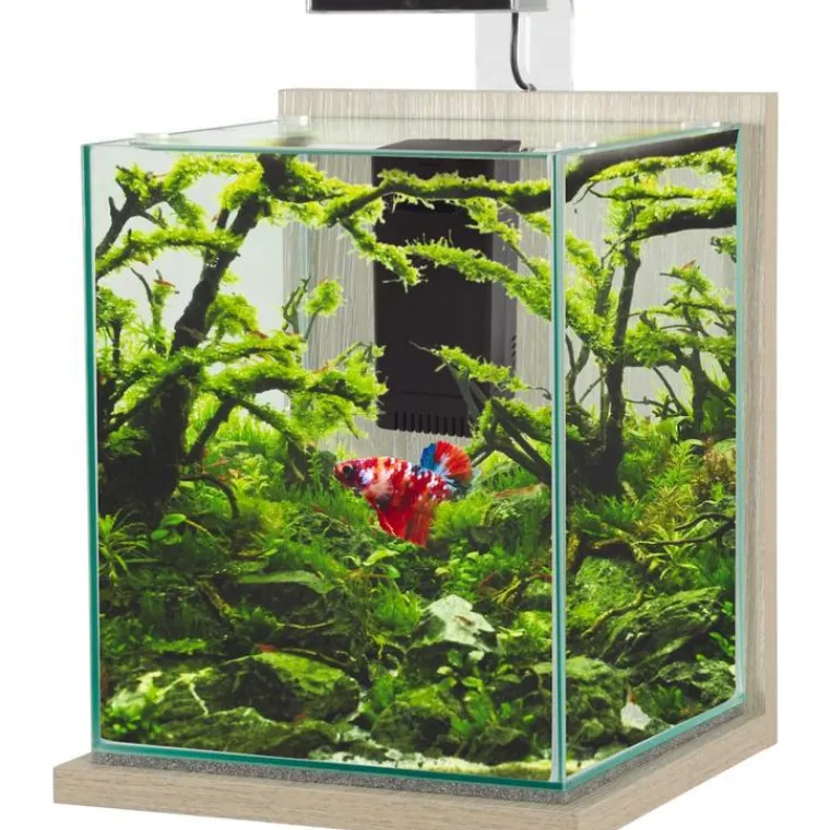 ZOLUX Kit aquarium Jalaya XL coloris zebrano gris - 25 x 25 x 30 cm