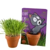 RADIS ET CAPUCINE Kit de plantation herbe à chat carte nature chat