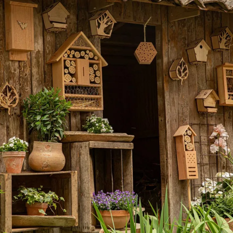 BOTANIC® Kit mangeoire en bois (à monter)