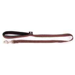MARTIN SELLIER Laisse Neo+ pour chien coloris marron 2x100 cm