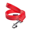 BOBBY Laisse pour chien en nylon tressé coloris rouge Safe 10 mm - Taille 10