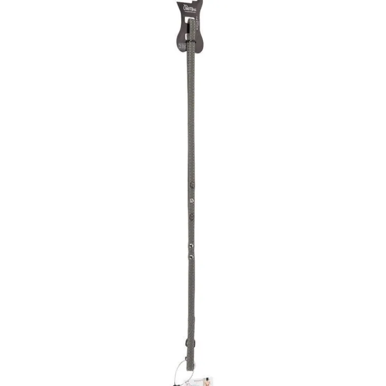 WOUAPY Laisse pour chien grise simili cuir Rock Petmini – 10 mm x 1,2 m