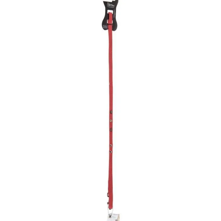 WOUAPY Laisse rock Petmini rouge Brandy et fils – 10 mm x 1, 2 m
