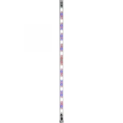 BLUE CORAL Leddy Tube Retrofit LED Plant 2.0 l 14 W - AQUAEL - 70cm