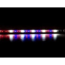 BLUE CORAL Leddy Tube Retrofit LED Plant 2.0 l 14 W - AQUAEL - 70cm
