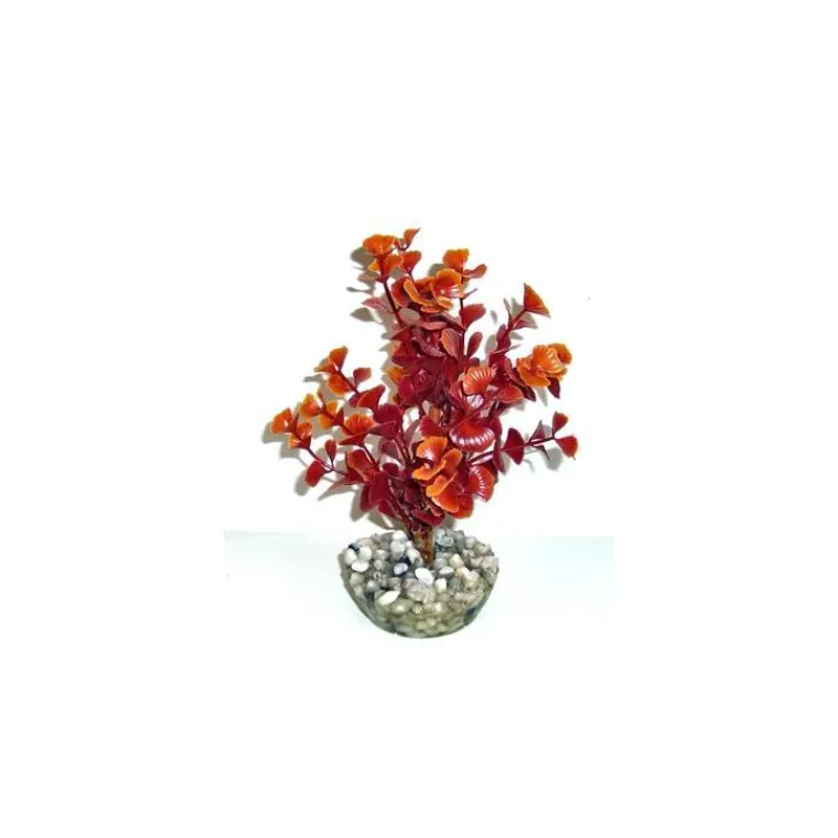 LABEO Ledwiga bordeaux-marron en plastique petit modèle 17 cm