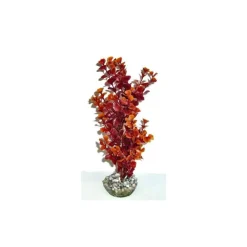 LABEO Ledwiga bordeaux-marron en plastique grand modèle 24 cm