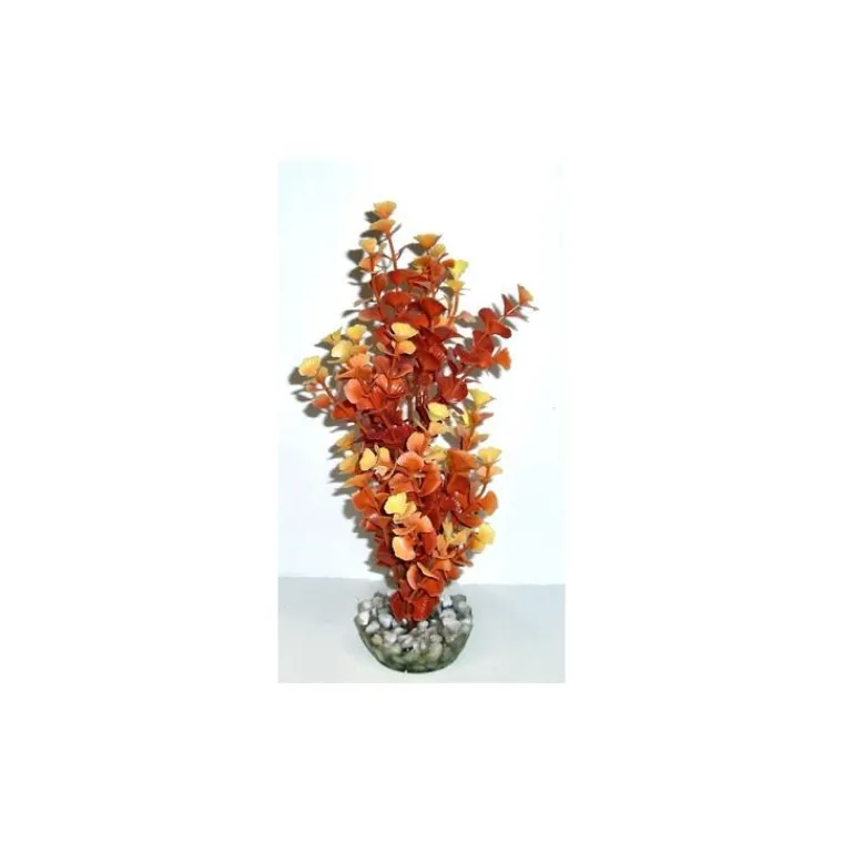 LABEO Ledwiga ocre-crème en plastique grand modèle 24 cm