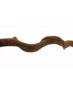REPTILE PLANET Liane naturelle pour terrarium coloris marron Reptile Premium Vine Sambawa - 1,8 à 2 m (4 - 6 cm)