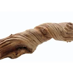 REPTILE PLANET Liane naturelle pour terrarium coloris marron Jungle Liana - 1,8 à 2 m (5 - 8 cm)