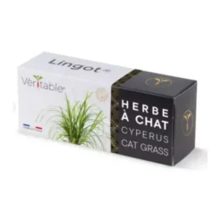 VÉRITABLE Lingot herbe à chat substrat présemé Véritable® - 3,6 x 12,8 x 5,3 cm