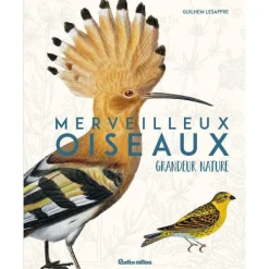 ÉDITIONS RUSTICA Livre "Oiseaux grandeur nature" aux