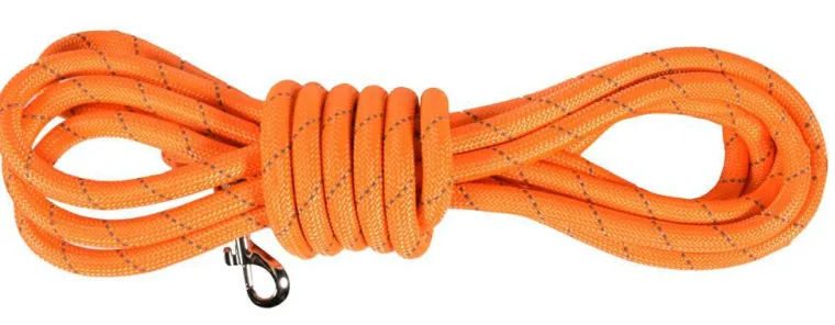 BOBBY Longe ronde pour chien coloris orange Walk – 10 mètres