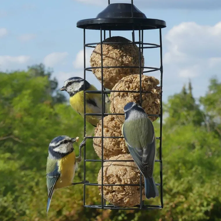 NATURES MARKET Mangeoire tube pour boules de graisse