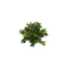 LABEO Massif rond coloré vert en plastique 10 x 15 cm