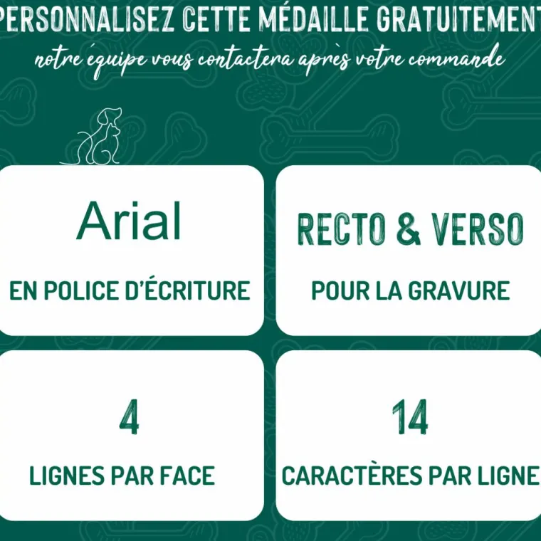 MYFAMILY Médaille basic petit os pour chien en laiton doré