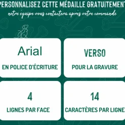 MYFAMILY Médaille bronx grand os pour chien décoration pyramides en métal
