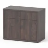 AQUATLANTIS Meuble pour aquarium en bois coloris chêne foncé 2 portes Sublime Ultra 100 - 100 x 50 x 83 cm