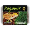 REPTILE PLANET Mix graines à germer pour Agames Barbus Pogomix