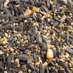 GRAIN DE VIE Mélange de graines bio pour oiseaux - 5kg