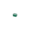 AQUATLANTIS Mousse filtrante anti-algues pour aquarium coloris vert Cleanwater – Taille S