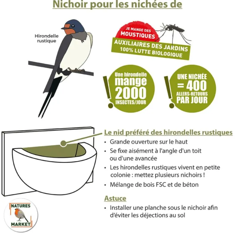NATURES MARKET Nichoir meridia pour hirondelles en bois 20 x 11 x 12 cm