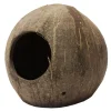 REPTILE PLANET Noix de coco pour terrarium coloris marron Coco Cave