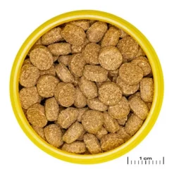 JBL Nourriture pour crabe wafer - riche en protéines ProNovo - 125g / 250ml