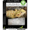 REPTILE PLANET Os de seiche broyé pour tortue, lézard, rongeur et oiseau Calci Sepia Crushed - 100 g