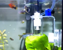 AQUAVIE Osmolateur pour aquarium coloris transparent Nano Micro Level Sensor v2