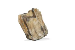 AQUAVIE Pierre décorative pour aquarium coloris marron bois fossilisé - Taille S