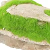 ZOLUX Pierre grise avec plante aquatique pour aquarium grey stone « ki pousse » M