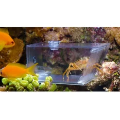 BLUE CORAL Piège à escargots, AQUA MEDIC Trap-Pest