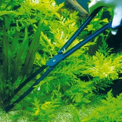 BLUE CORAL Pince à planter CombiFix longue et robuste - JBL - modèle 46 cm