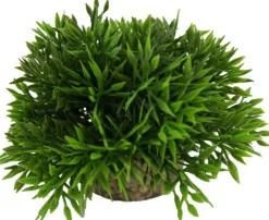 LABEO Plante artificielle pour aqua-terrarium coloris vert Bambou
