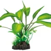 SUPERFISH Plante artificielle pour aquarium ou terrarium coloris vert Cryptocoryne Art Plant M - 25 cm