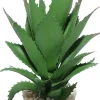 LABEO Plante artificielle pour terrarium tropical ou désertique coloris vert Ananas