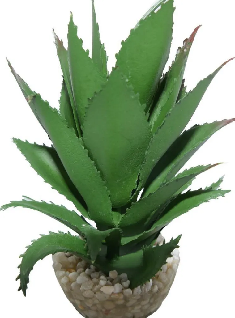 LABEO Plante artificielle pour terrarium tropical ou désertique coloris vert Ananas