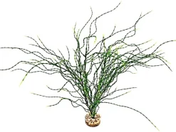 LABEO Plante artificielle pour aquarium coloris vert Psilotum MM