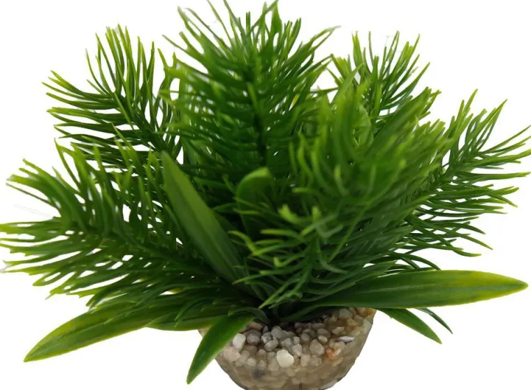 LABEO Plante artificielle pour aqua-terrarium coloris vert Egeria
