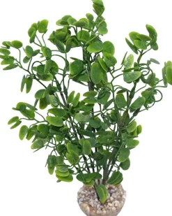 LABEO Plante artificielle pour aquarium coloris rouge Micranthenum
