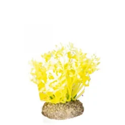 BLUE CORAL Plante artificielle pour aquarium, jaune, AQUA DELLA - 10cm