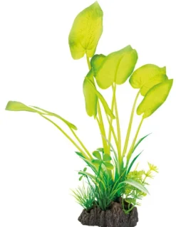 SUPERFISH Plante artificielle pour aquarium ou terrarium coloris vert Echinodorus Art Plant M - 25 cm