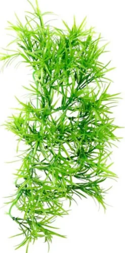 HOBBY Plante grimpante artificielle pour terrarium coloris vert Tropica - Taille 37 cm
