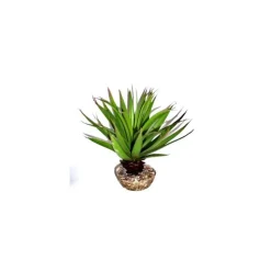 LABEO Plante succulente verte en tissu moyen modèle Ø 10 cm