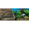 EUROPET Poster aquarium scénario merocher BERNINA EBI Sea/Rock - 80x40 cm