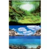 BLUE CORAL Poster aquascaping double face plantes/ocean, AQUA NOVA, modèle XL - 150x60 cm