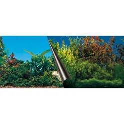 EUROPET Poster d'aquarium paysage sous-marin - EBI Beauty/Sea - 120x50 cm