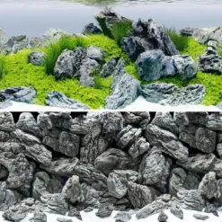 BLUE CORAL Poster de fond aquascape & rock, JUWEL - taille L 100 x 50 cm