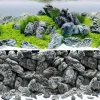 BLUE CORAL Poster de fond pour aquarium, rocheux et aquascape, JUWEL - taille S (60x30 cm)